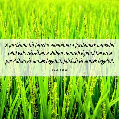 Picture 06 - 1 Krónika 6:78 KAR - A Jordánon túl Jérikhó ellenében a - Bible Verse Picture