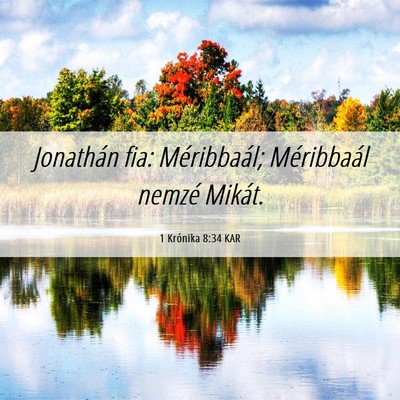 Picture 06 - 1 Krónika 8:34 KAR - Jonathán fia: Méribbaál; Méribbaál nemzé - Bible Verse Picture