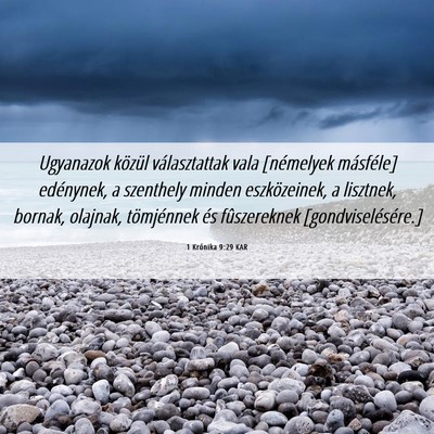 Picture 06 - 1 Krónika 9:29 KAR - Ugyanazok közül választattak vala [némelyek - Bible Verse Picture