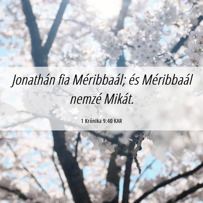Picture 06 - 1 Krónika 9:40 KAR - Jonathán fia Méribbaál; és Méribbaál nemzé - Bible Verse Picture