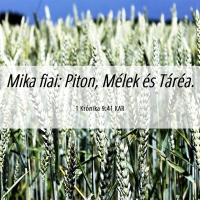 Picture 06 - 1 Krónika 9:41 KAR - Mika fiai: Piton, Mélek és - Bible Verse Picture