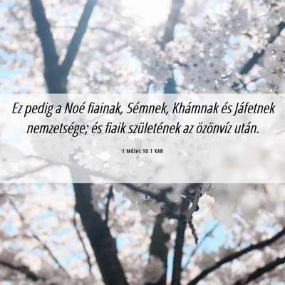 Picture 06 - 1 Mózes 10:1 KAR - Ez pedig a Noé fiainak, Sémnek, Khámnak és - Bible Verse Picture