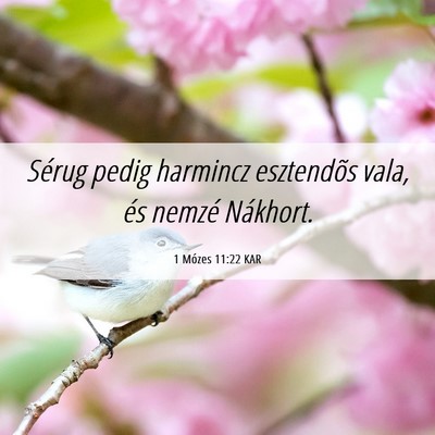 Picture 06 - 1 Mózes 11:22 KAR - Sérug pedig harmincz esztendõs vala, és nemzé - Bible Verse Picture