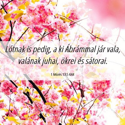 Picture 06 - 1 Mózes 13:5 KAR - Lótnak is pedig, a ki Ábrámmal jár vala, - Bible Verse Picture