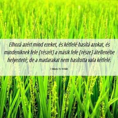 Picture 06 - 1 Mózes 15:10 KAR - Elhozá azért mind ezeket, és kétfelé - Bible Verse Picture