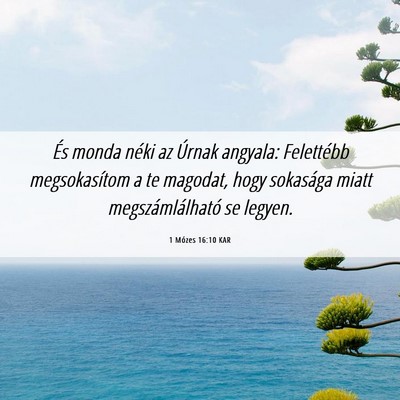 Picture 06 - 1 Mózes 16:10 KAR - És monda néki az Úrnak angyala: Felettébb - Bible Verse Picture
