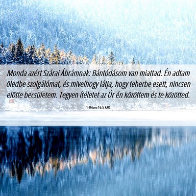 Picture 06 - 1 Mózes 16:5 KAR - Monda azért Szárai Ábrámnak: Bántódásom - Bible Verse Picture
