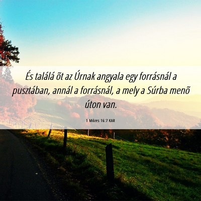 Picture 06 - 1 Mózes 16:7 KAR - És találá õt az Úrnak angyala egy - Bible Verse Picture