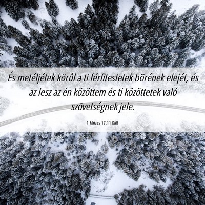 Picture 06 - 1 Mózes 17:11 KAR - És metéljétek körûl a ti férfitestetek - Bible Verse Picture
