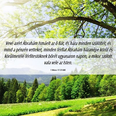 Picture 06 - 1 Mózes 17:23 KAR - Vevé azért Ábrahám Ismáelt az õ fiát, és - Bible Verse Picture