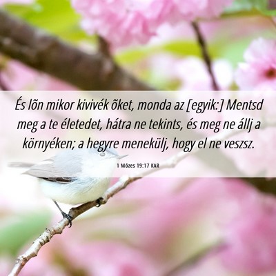 Picture 06 - 1 Mózes 19:17 KAR - És lõn mikor kivivék õket, monda az [egyik:] - Bible Verse Picture