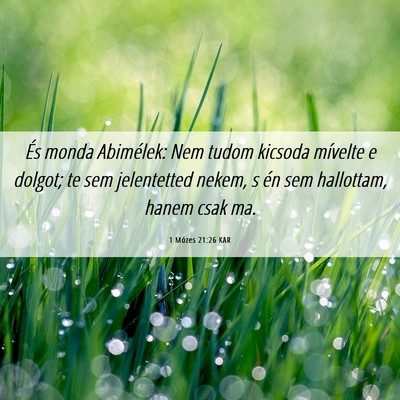 Picture 06 - 1 Mózes 21:26 KAR - És monda Abimélek: Nem tudom kicsoda mívelte e - Bible Verse Picture
