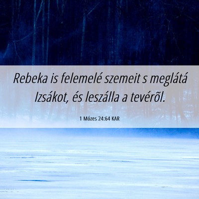 Picture 06 - 1 Mózes 24:64 KAR - Rebeka is felemelé szemeit s meglátá Izsákot, - Bible Verse Picture