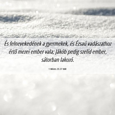 Picture 06 - 1 Mózes 25:27 KAR - És felnevekedének a gyermekek, és Ézsaú - Bible Verse Picture