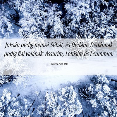 Picture 06 - 1 Mózes 25:3 KAR - Joksán pedig nemzé Sébát, és Dédánt. - Bible Verse Picture
