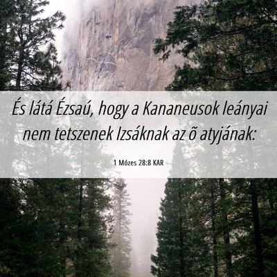 Picture 06 - 1 Mózes 28:8 KAR - És látá Ézsaú, hogy a Kananeusok leányai - Bible Verse Picture