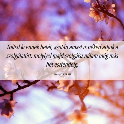 Picture 06 - 1 Mózes 29:27 KAR - Töltsd ki ennek hetét, azután amazt is néked - Bible Verse Picture