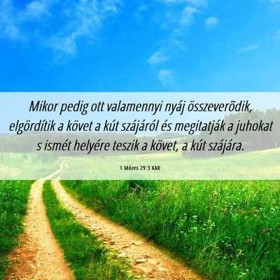Picture 06 - 1 Mózes 29:3 KAR - Mikor pedig ott valamennyi nyáj összeverõdik, - Bible Verse Picture