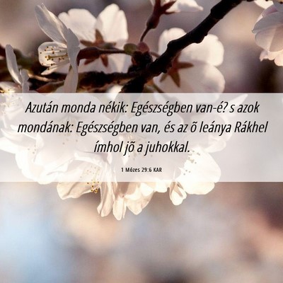 Picture 06 - 1 Mózes 29:6 KAR - Azután monda nékik: Egészségben van-é? s - Bible Verse Picture