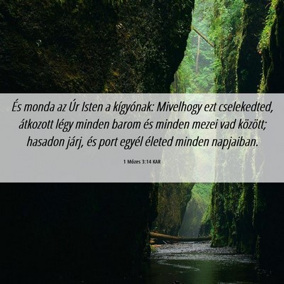 Picture 06 - 1 Mózes 3:14 KAR - És monda az Úr Isten a kígyónak: Mivelhogy - Bible Verse Picture