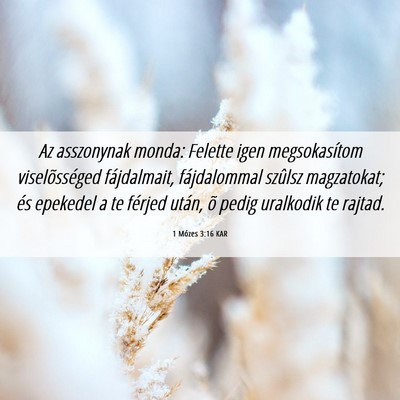 Picture 06 - 1 Mózes 3:16 KAR - Az asszonynak monda: Felette igen megsokasítom - Bible Verse Picture
