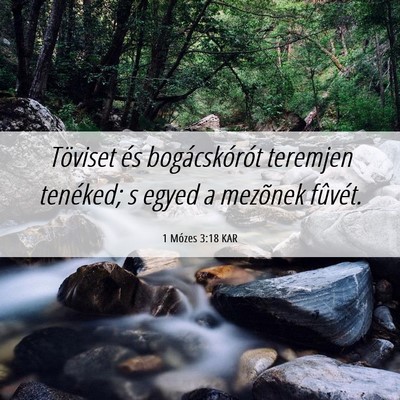 Picture 06 - 1 Mózes 3:18 KAR - Töviset és bogácskórót teremjen tenéked; s - Bible Verse Picture