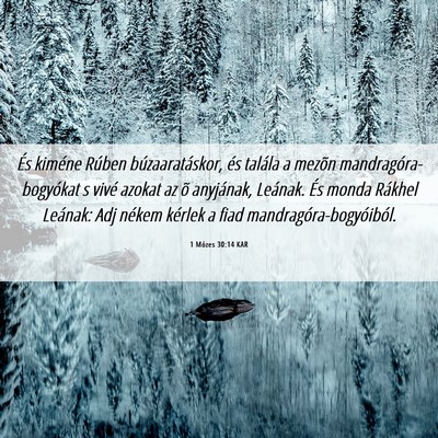 Picture 06 - 1 Mózes 30:14 KAR - És kiméne Rúben búzaaratáskor, és talála a - Bible Verse Picture