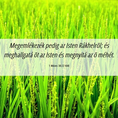 Picture 06 - 1 Mózes 30:22 KAR - Megemlékezék pedig az Isten Rákhelrõl; és - Bible Verse Picture