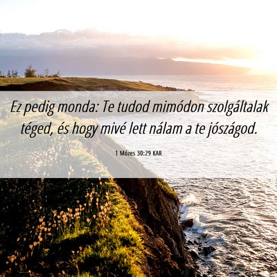 Picture 06 - 1 Mózes 30:29 KAR - Ez pedig monda: Te tudod mimódon szolgáltalak - Bible Verse Picture