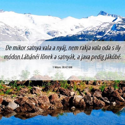 Picture 06 - 1 Mózes 30:42 KAR - De mikor satnya vala a nyáj, nem rakja vala oda - Bible Verse Picture