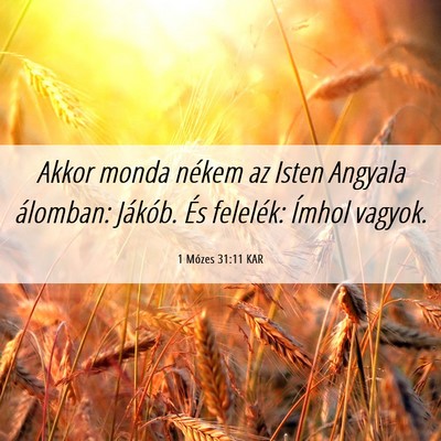 Picture 06 - 1 Mózes 31:11 KAR - Akkor monda nékem az Isten Angyala álomban: - Bible Verse Picture