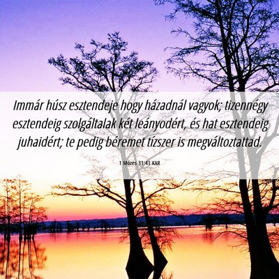 Picture 06 - 1 Mózes 31:41 KAR - Immár húsz esztendeje hogy házadnál vagyok; - Bible Verse Picture