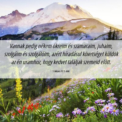 Picture 06 - 1 Mózes 32:5 KAR - Vannak pedig nékem ökreim és szamaraim, - Bible Verse Picture