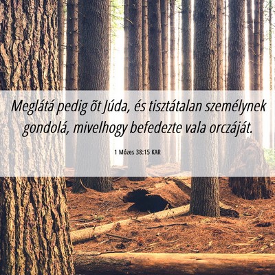Picture 06 - 1 Mózes 38:15 KAR - Meglátá pedig õt Júda, és tisztátalan - Bible Verse Picture