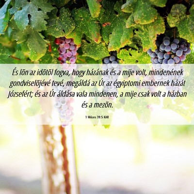 Picture 06 - 1 Mózes 39:5 KAR - És lõn az idõtõl fogva, hogy házának és a - Bible Verse Picture