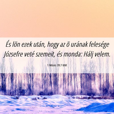 Picture 06 - 1 Mózes 39:7 KAR - És lõn ezek után, hogy az õ urának felesége - Bible Verse Picture