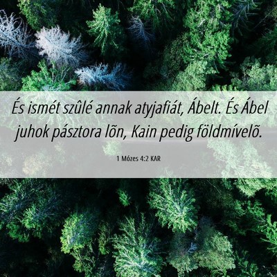 Picture 06 - 1 Mózes 4:2 KAR - És ismét szûlé annak atyjafiát, Ábelt. És - Bible Verse Picture