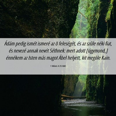 Picture 06 - 1 Mózes 4:25 KAR - Ádám pedig ismét ismeré az õ feleségét, - Bible Verse Picture