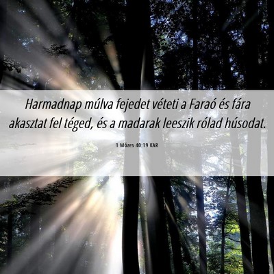 Picture 06 - 1 Mózes 40:19 KAR - Harmadnap múlva fejedet véteti a Faraó és - Bible Verse Picture