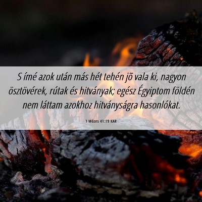 Picture 06 - 1 Mózes 41:19 KAR - S ímé azok után más hét tehén jõ vala ki, - Bible Verse Picture