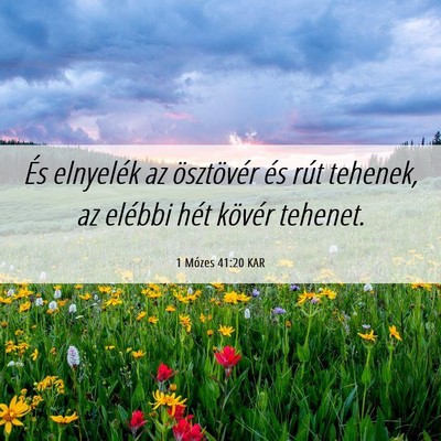 Picture 06 - 1 Mózes 41:20 KAR - És elnyelék az ösztövér és rút tehenek, az - Bible Verse Picture