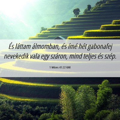 Picture 06 - 1 Mózes 41:22 KAR - És láttam álmomban, és ímé hét gabonafej - Bible Verse Picture