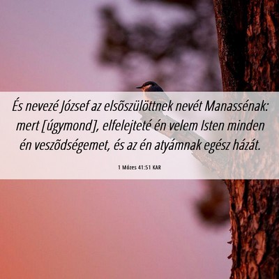 Picture 06 - 1 Mózes 41:51 KAR - És nevezé József az elsõszülöttnek nevét - Bible Verse Picture