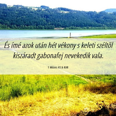 Picture 06 - 1 Mózes 41:6 KAR - És ímé azok után hét vékony s keleti - Bible Verse Picture