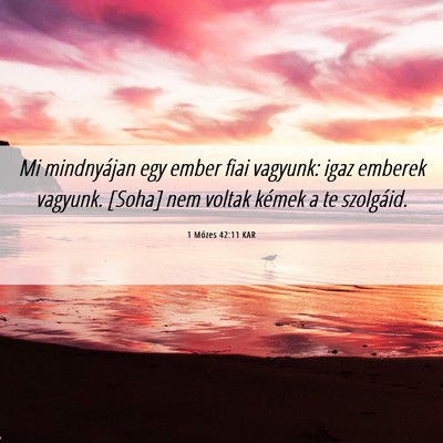 Picture 06 - 1 Mózes 42:11 KAR - Mi mindnyájan egy ember fiai vagyunk: igaz - Bible Verse Picture