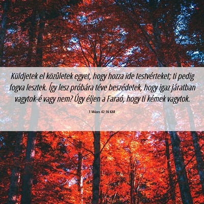 Picture 06 - 1 Mózes 42:16 KAR - Küldjetek el közûletek egyet, hogy hozza ide - Bible Verse Picture