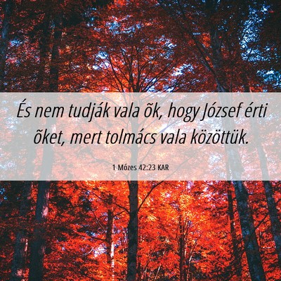 Picture 06 - 1 Mózes 42:23 KAR - És nem tudják vala õk, hogy József érti - Bible Verse Picture