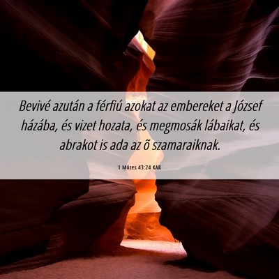 Picture 06 - 1 Mózes 43:24 KAR - Bevivé azután a férfiú azokat az embereket a - Bible Verse Picture
