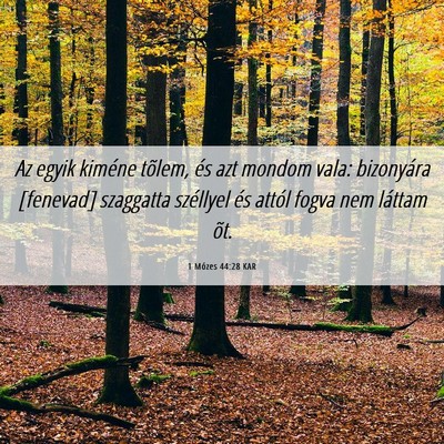 Picture 06 - 1 Mózes 44:28 KAR - Az egyik kiméne tõlem, és azt mondom vala: - Bible Verse Picture
