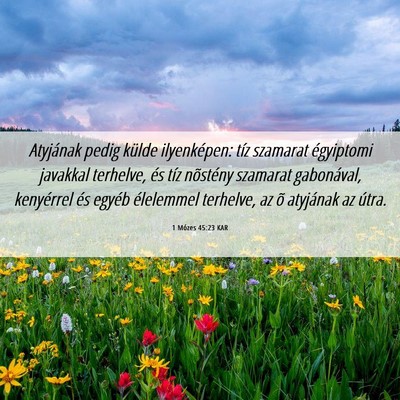 Picture 06 - 1 Mózes 45:23 KAR - Atyjának pedig külde ilyenképen: tíz szamarat - Bible Verse Picture